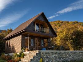 Pankisi Wooden Cottage，位于Akhmeta的酒店