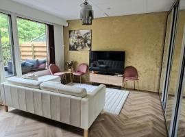 Golden apartment- parking, wifi and sauna，位于Raisio的酒店
