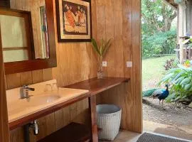 My Mountain Home - Le Studio