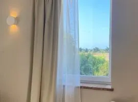 Podere Centoquattro - Il Blu - Appartamento tra mare e campagna a Vada