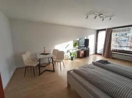 Studio Apartment Staufenflair
