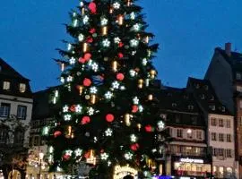 Suite familiale privée proche du Parlement Européen de Strasbourg