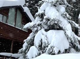 Walk to Ski Resort & Private Onsen，位于水上町的酒店