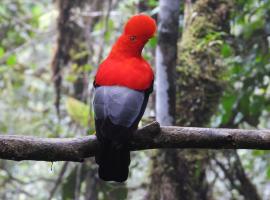 Natural Luxury Birding Lodge，位于Dagua的酒店