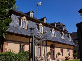 Schloss Hotel Alte Rentkammer，位于Birstein的酒店