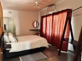 Warthog Wallow - Kruger National Park Phalaborwa