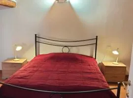 Zinfarosa Color Home