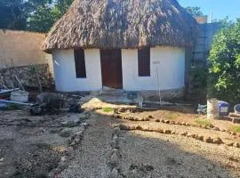 Cabañas Los Gallitos Ecolodge 3