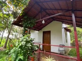 Coorg jungle Cottage