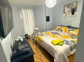 New 3 BR Apt in Elizabeth Railroad Style Path Train Bus Hospital EWR Airport NJ Manhattan NYC