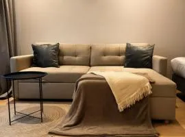 Perfect Night Vida Arena WiFi 247