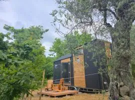 In the Wild Volcano Sea Side