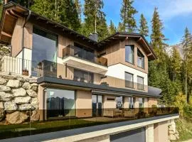 Alpin Chalet Dachsteinhaus