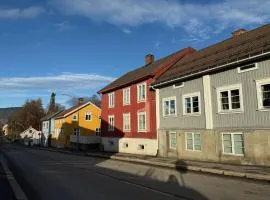 Central apartment in Lillehammer