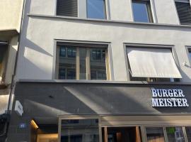 HITrental Town Hall Apartments，位于巴塞尔的宠物友好酒店