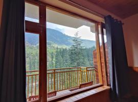 The Woodpecker Inn Jibhi，位于吉布的酒店