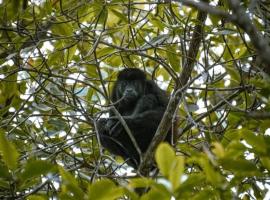 Mamglar frente al mar，位于莫姆皮切的酒店