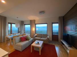 Ylläs Chalet 9501，位于易拉斯加威的酒店