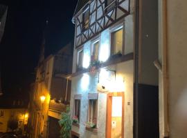 Das Haus - Das Marienkaeferhaus，位于于尔齐希的酒店