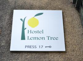 柠檬树旅馆，位于克拉科夫的酒店