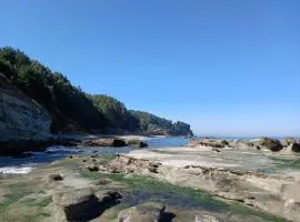 Departamento Cocholgüe, Tomé, Concepcion