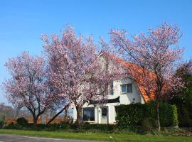 B&B Sagenland，位于Harbrinkhoek的住宿加早餐旅馆