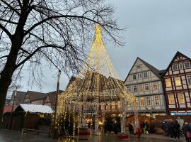 Chez Elly，位于策勒的酒店