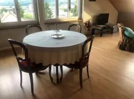 1-room apartment under roof with view