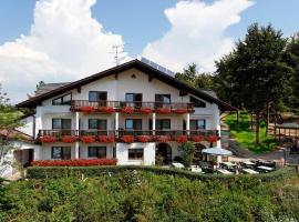 Pension Bergstub`n，位于Saldenburg的旅馆