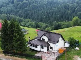 Vila Panoramic Pestera