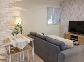 Appartement Scandinave