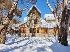 Silver Brumby Chalet alpine-getaways，位于丁诺高原的酒店