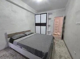 Двухкомнатная квартира на Телецентре