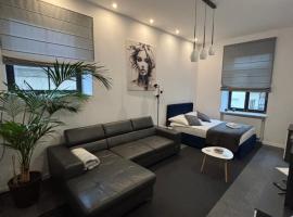 Apartamenty Łuczkowskiego z widokiem na Studnię 5，位于海乌姆的酒店