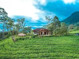 Viriparai Tea Bungalow Munnar by VOYE HOMES - Surrounded by Tea Plantations