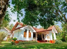 Aurora පාට පාට