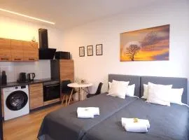 Gemütliches Studioapartment in Findorff Bremen mit Highspeed WLAN