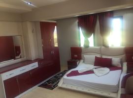 Selfo Hotel，位于吉诺卡斯特的酒店
