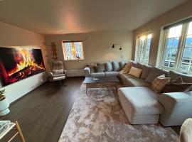 Røldal ski in ski out，位于Håra的酒店