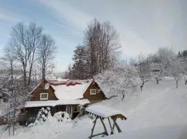 Котедж У потічка