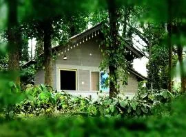 Finca Backwater Homestay