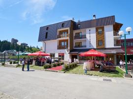 Apartments WinterSport，位于弗拉西克的酒店