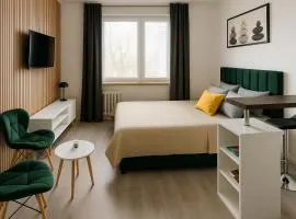 Výchozí bod pro saské Švýcarsko, pet friendly, Děčínský moderní apartmán