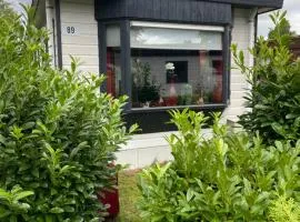 Tiny Chalet Sole in Putten