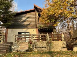 Mountain Family Chalet on Prahova Valley，位于科马尔尼克的酒店