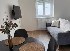 schönes Apartment in Zentrumsnähe