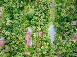 Luminosium Garden Retreat - Airport Stopover