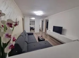 Ezzely apartment ParkLake