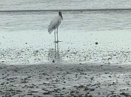 Camping y hospedaje playa azul