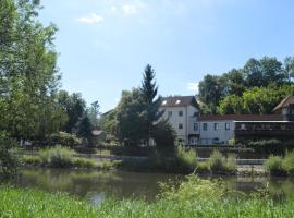 Pension Gasthaus zum Pegel，位于萨勒河畔瑙姆堡的酒店